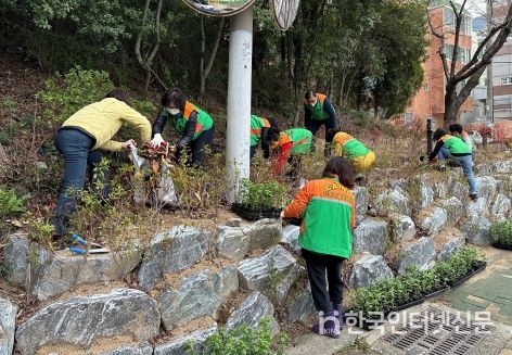 부산 북구 덕천1동 덕내골 그린봉사대, 봄 초화로 명품마을 만들기
