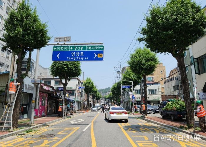 이천시 , 걷고 싶고 보고 싶은 가로수 정비
