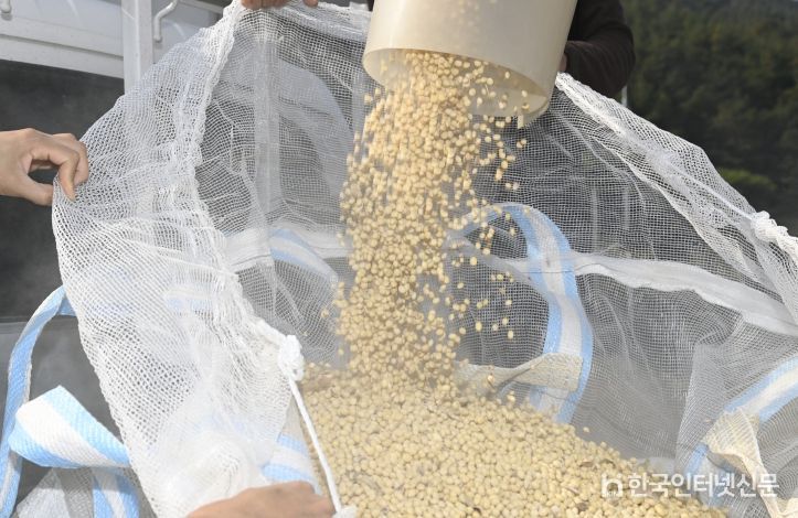 남원시, 논콩 수확 작업