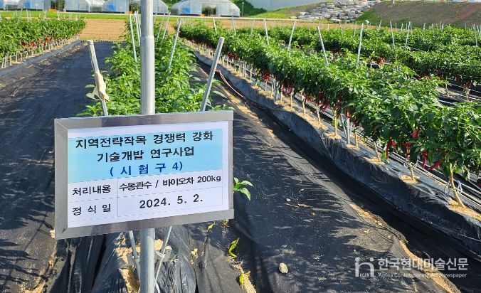 임실군, 지역전략작목(고추)