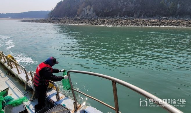 옹진군, 전복 종자 18만마리 방류