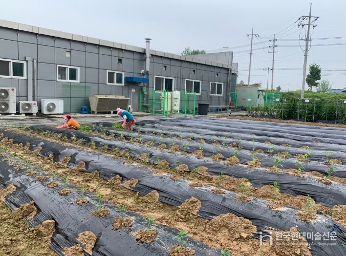 정읍시, 노지고추 육묘 관