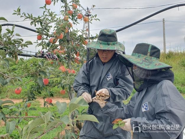 농작물 병해충 예찰·방제단 운영