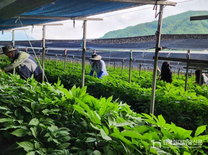 농번기 “농촌 일손돕기”추진