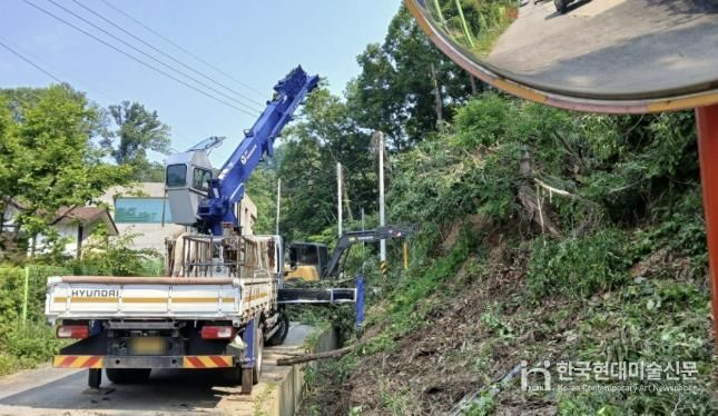 산사태 대비 위험 수목 정리 작업 모습