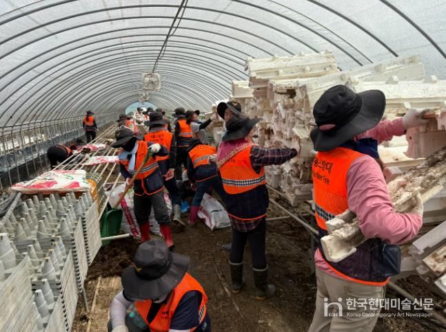 홍성소방서 의용소방대, 예산군 수해복구 지원에 구슬땀