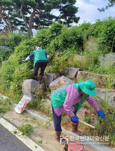 남면 새마을협의회 환경정화 활동