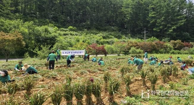 서울새마을부녀회 활동 사진