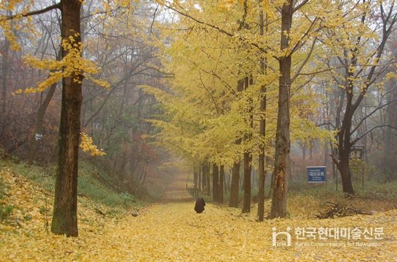 강화성 북문의 가을