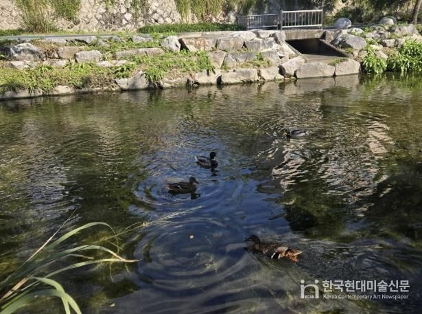 성북구 하천, 10월 수질 분석서 ‘좋음’ 등급 유지