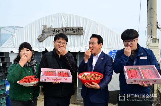 딸기 품종 혁신, ‘조이베리’로 문 열다