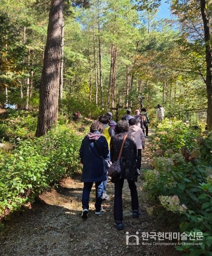 태백시, 치매환자·보호자 야외치유 프로그램 운영