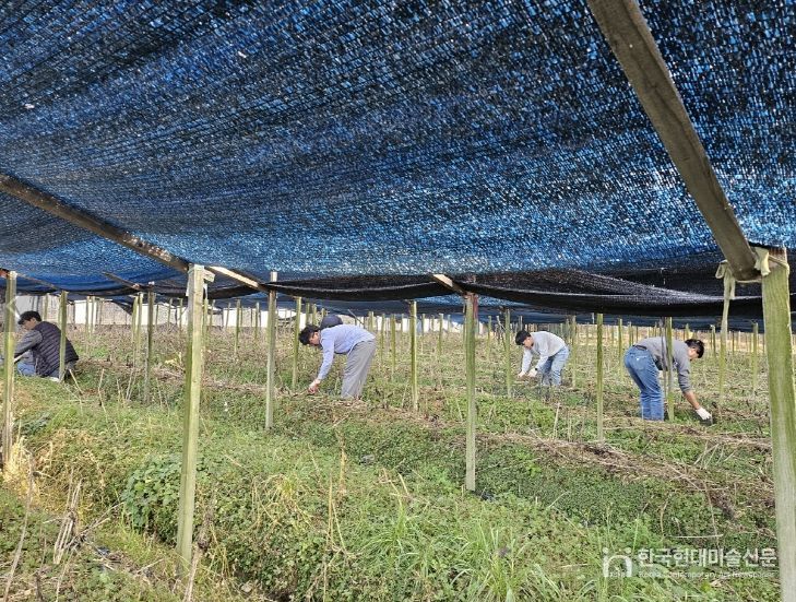 금산군청 맑은물관리과 가을철 농촌일손돕기 모습
