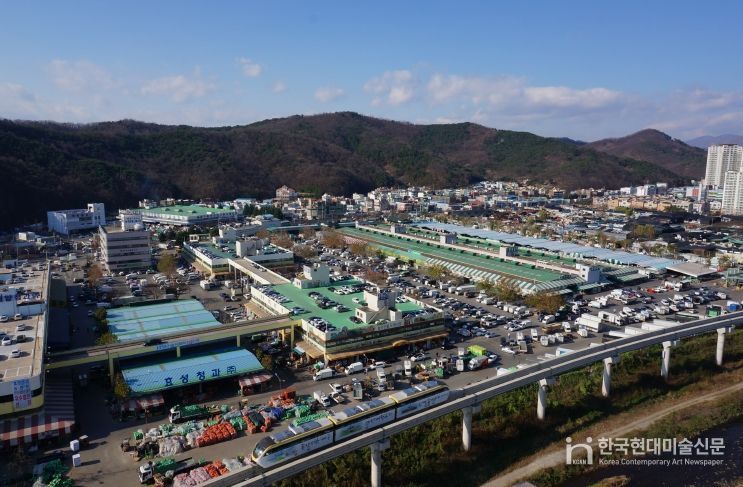대구농수산물도매시장