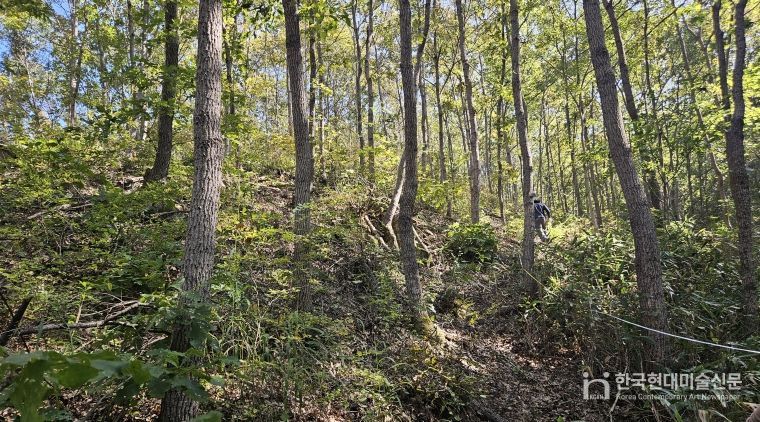 진안군, 2025년 숲가꾸기 완료