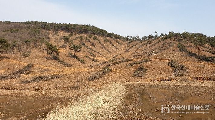조림지 사진