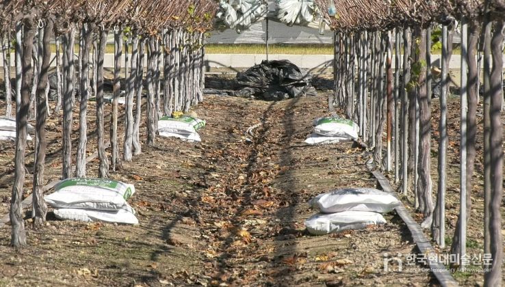 남원시, 2026년 유기질비료 지원사업 신청접수 실시