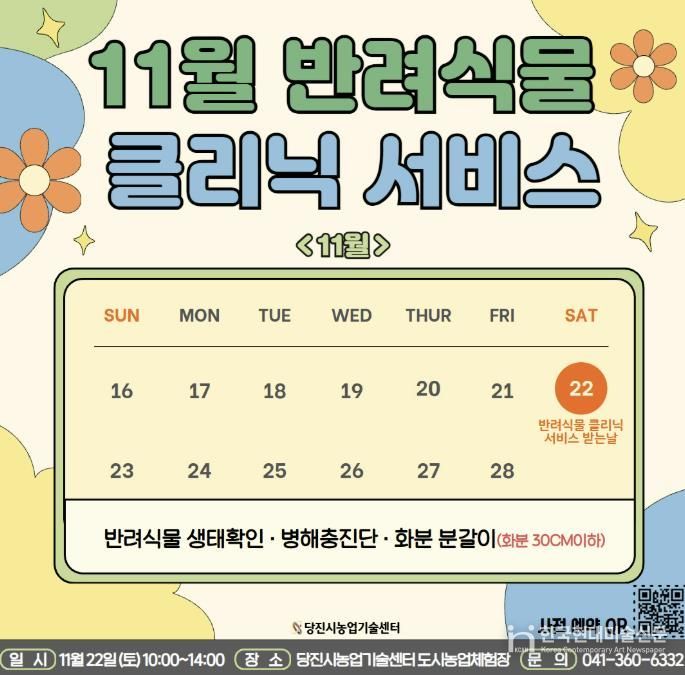 11월 반려식물 클리닉 카드뉴스