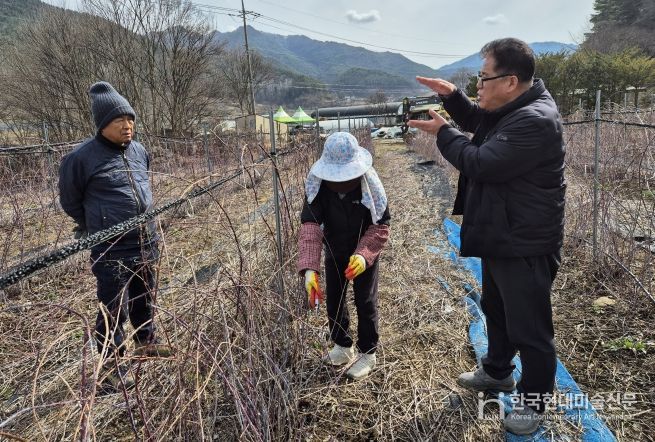 겨울철 농업재해 예방 기술지도