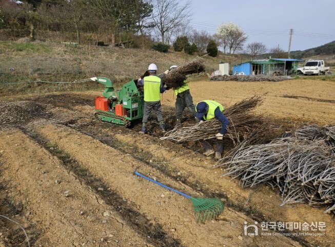 영농부산물 파쇄 모습.