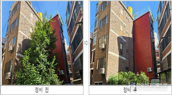 주택가 내 위험수목 정비 전후 모습