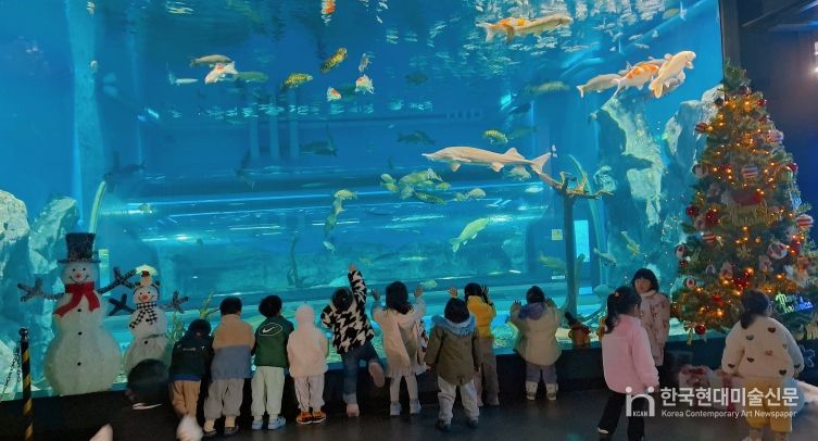 충북아쿠아리움에서 만나는 특별한 크리스마스