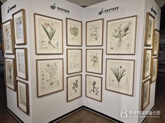 포천시, 한탄강의 아름다운 색채를 담은 압화 전시 개최