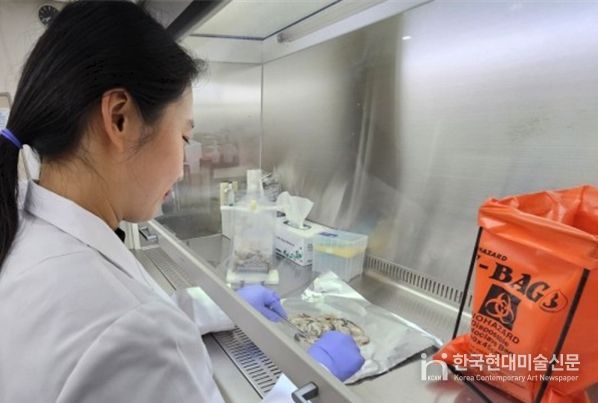 인천시, 겨울철 노로바이러스 식중독 주의 당부