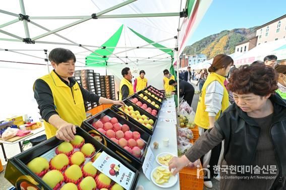 정선군, 농식품부 과수분야 연차평가 강원도 유일 인센티브 확보 정선사과 축제(2025)