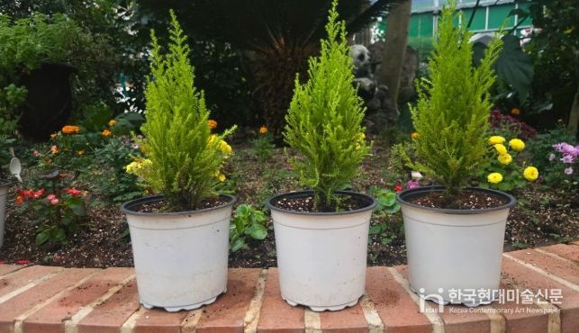 청주랜드, 초등생 대상 크리스마스트리 만들기