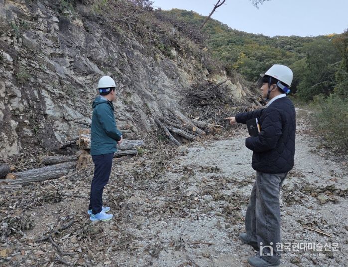 벌채지 점검 모습