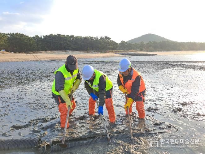 ‘패류 생산력 회복강화’ 인천 중구, 양식 어장 110ha 정화 사업 완료