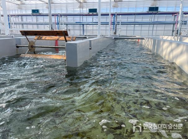 육상 김 양식(수로형 트랙 수조)