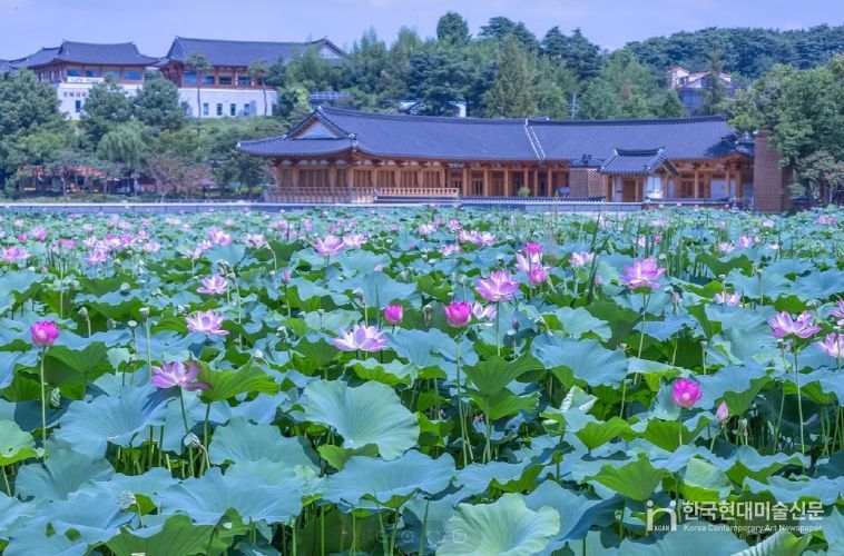 새단장 마친 덕진공원, 시민 품으로! (연꽃군락지)