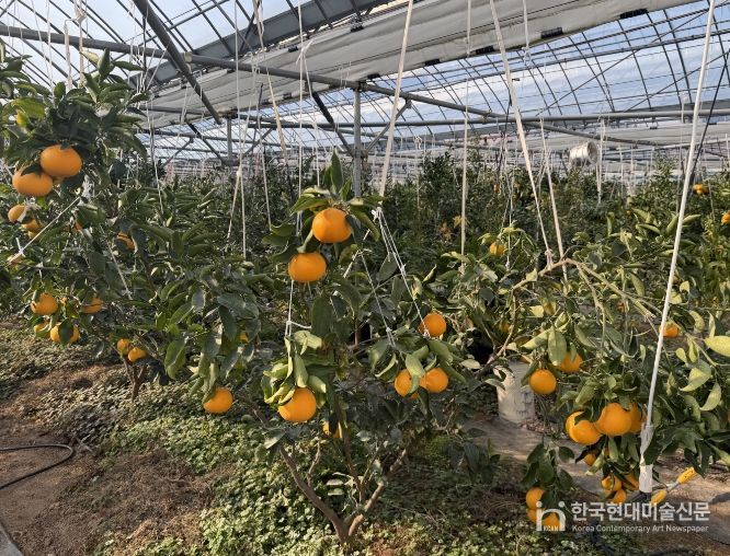 , 2026년 새기술보급 시범사업 대상자 모집