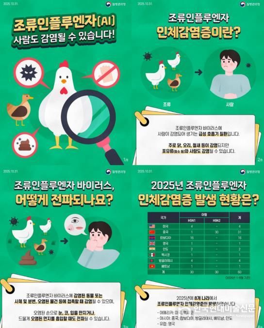파주시, 조류인플루엔자 감염 예방을 위한 주의 당부
