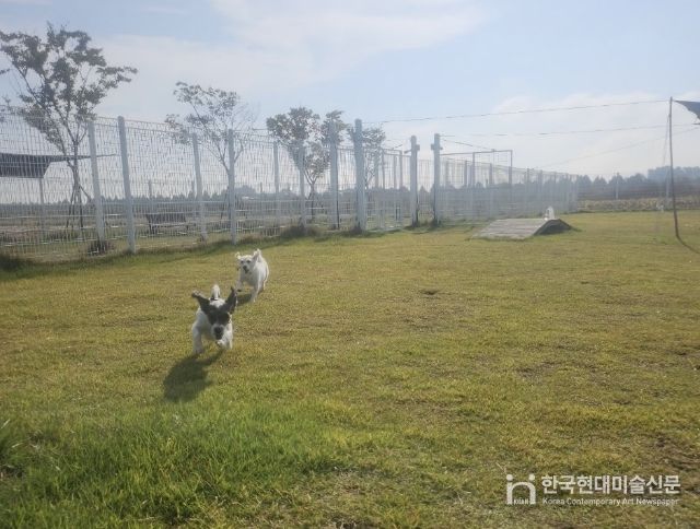 부안군, 2026년 반려동물 놀이터 조기 개장