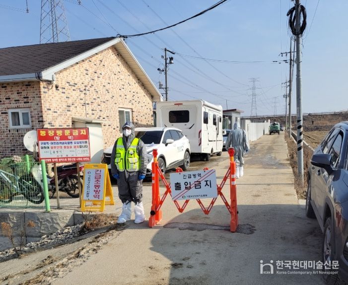 정읍시, 아프리카돼지열병 확진