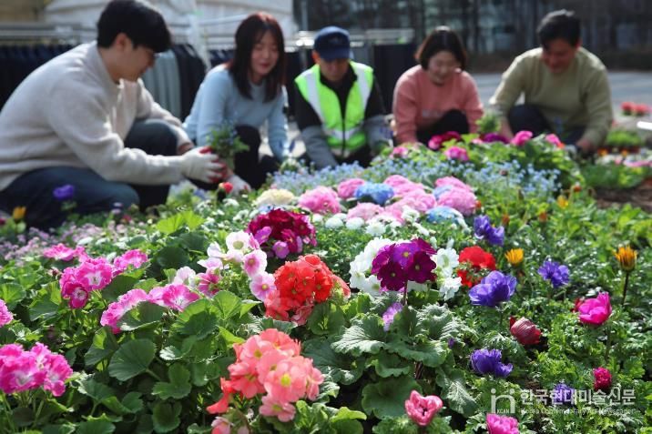 성동구 왕십리광장에서 공원녹지과 직원들이 봄을 맞아 꽃 식재 작업을 하고있는 모습