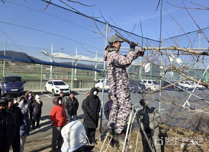 충주시농기센터, 복숭아 정지전정 현장교육 성료