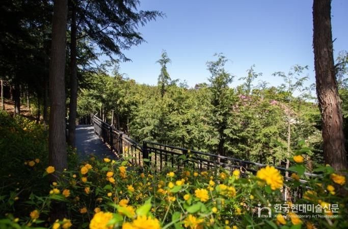 봉산 무장애숲길 모습