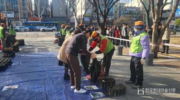 2025년 나무 나누어주기 행사 사진