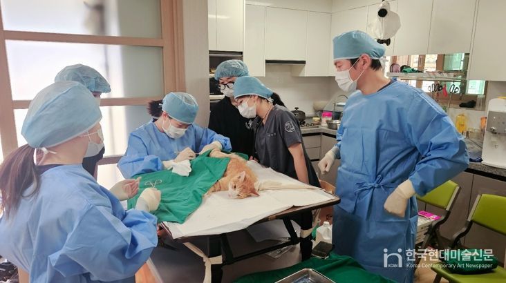 청주시, 길고양이와 사람의 공존 위한 TNR 사업 추진