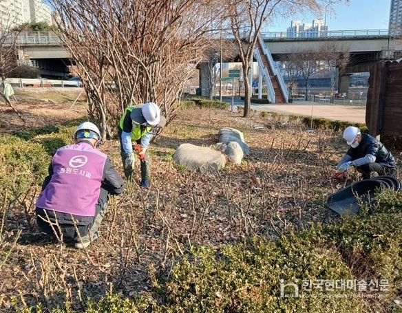 5월 장미 개화 앞두고 중랑천 장미 집중 관리