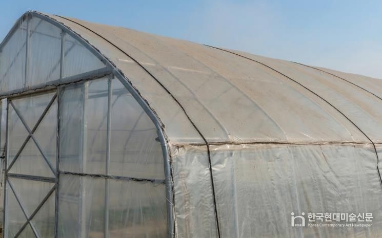 시설하우스 위 미세먼지·황사 사진
