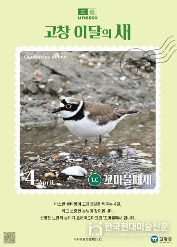 고창갯벌 이달의 새(4월)_꼬마물떼새 홍보 이미지