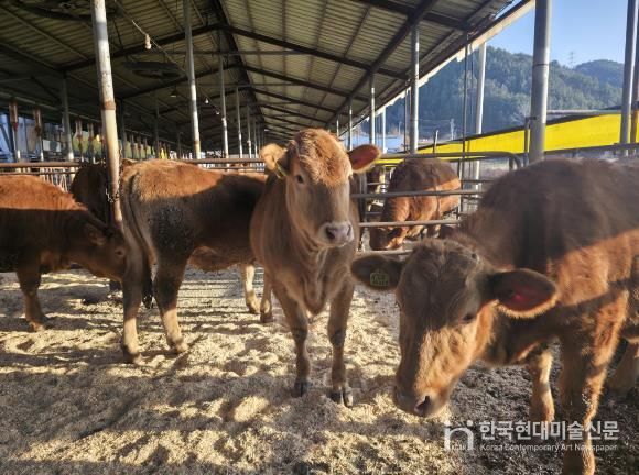 무주군, ‘깨끗한 축산농장’ 발굴 주력 친환경 축산 확산 위해 신청 받아