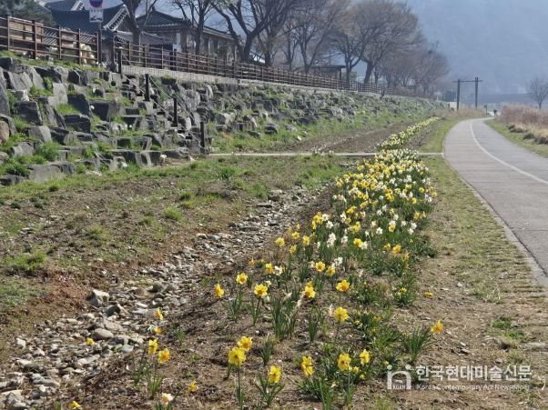 전주천 남천교 일원에 사계절 화사한 꽃밭 조성