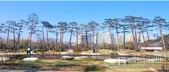 2024. 남구 평화공원(유엔평화의 숲) 기후대응 도시숲 조성사업 완료사진