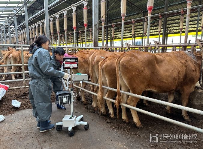 한우 개량지원사업 전국 평가 1위